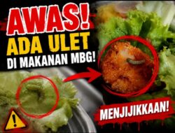 MBG Diduga Berulat, BGN Didesak Turun Tangan